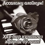 mamuramallaboyeva@gmail.com - @mamuramallaboyeva - Instagram