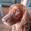 Eva Lammers - @lammersxeva - TikTok