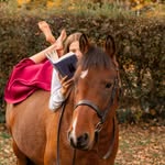 Eva Lamont 🏴󠁧󠁢󠁳󠁣󠁴󠁿 - @eva_lamont_equestrian - Instagram