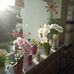 Eva Lange - Facebook