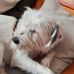 Eva Lange - Facebook