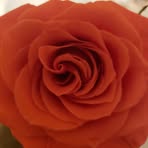 Eva Larranaga - Facebook