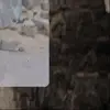 evalavoie7 - @evalavoie7 - TikTok