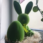 Eva Lehr - Facebook