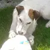 Eva Lehrmann - @evalehrmann - TikTok
