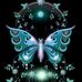 Eva Light - Facebook