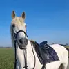 Eva Linn💘 - @equi.evalinn - TikTok