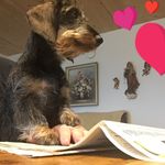 Eva Ludwig - @evaludwig1955 - Instagram