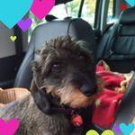 Eva Ludwig - @evaludwig8867 - Instagram