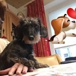 Eva Ludwig - @evaludwig6107 - Instagram