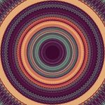 Eva Ludwig - @evaludwigfilm - Instagram
