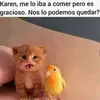 Eva Maciel - @eva.maciel30 - TikTok