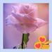 Eva Maciel - Facebook