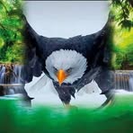Evaristo Maestre - Facebook