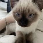 Shhsfsvs - @eva_maierr - Instagram