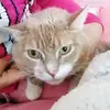 evamalec - @evamalec - TikTok