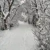 evamaley - @evamaley - TikTok