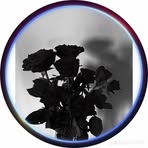 Eva Malik - Facebook