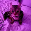 Eva Malm - @eva.claire81 - TikTok