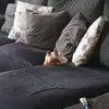 Eva Jimenez Mancheño - @eva.jimenez.manch - TikTok