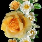 Eva Mandujano Curisinche - Facebook