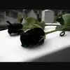 Mandujano Eva - @mandujanoeva - TikTok