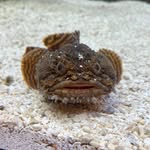 Evan Mangels - @evanmangels - Instagram
