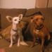 Eva Manley - Facebook