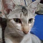 Eva Manolang - @evamanolang - Instagram