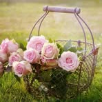 Eva Marcos - Facebook