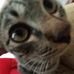 Eva Marcus Govind - Facebook