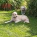 Eva Marcusson - Facebook