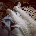 Татьяна Маркеева - @markey_eva - Instagram