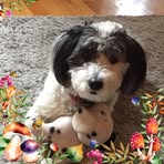 Eva Markowski - Facebook