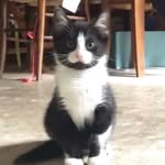 eva_markowski - @eva_markowski - Instagram