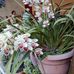 Marta Eva Luch Marroquin - Facebook
