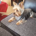 Eva Mather - @mather4582 - Instagram