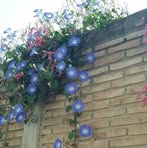 Eva Matis - Facebook
