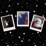 ♡A•E•M•L ♡ - @ares_eva_mavis_levi_ - Instagram