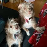 Eva & Mavis - @thesatogirls - Instagram