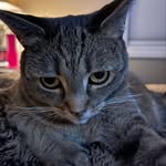 Mavis - @mavis_evangeline - Instagram
