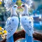 Eva Moni - Facebook