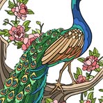 Eva Lopez Mayo - Facebook