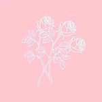 Eva - @evamcclure2000 - Instagram
