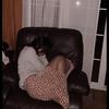 Eva McConnell - @eviiiiii0202 - TikTok