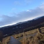 Evamccracken1234 - @evamccracken1234 - Instagram