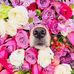Eva Horvath- McFadden - Facebook