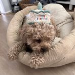 Eva McGlynn - Facebook