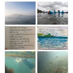 Dr Eva McGrath - @immersion.research - Instagram