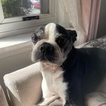 Eva McGrath - @evamcgrath1 - Instagram